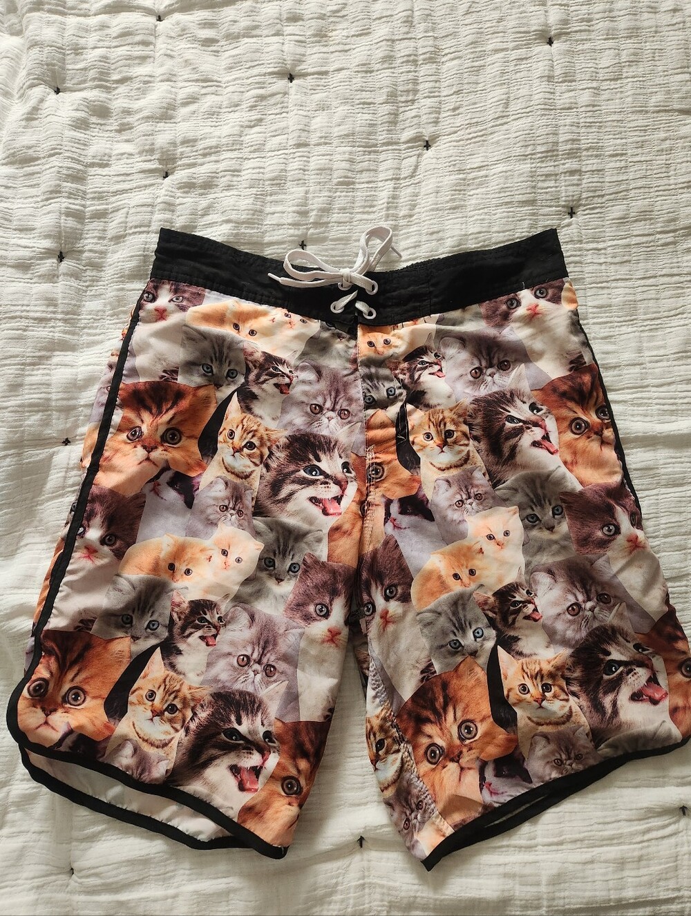 Men's Swim Trunks Cat Print